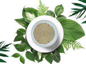 paikarighar-6-768x576-removebg-preview